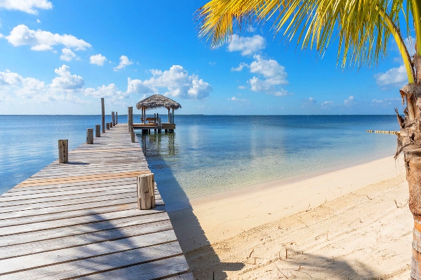 Book Your Dream Vacation Through WhereToStay!
