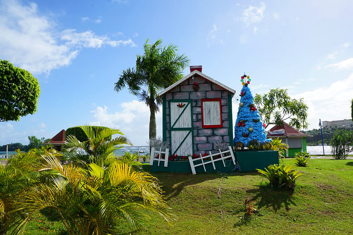 You Don't Want to Miss These 5 Christmas Activities in Dominican